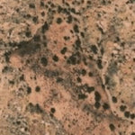 Hopi Tile 214