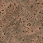 Hopi Tile 242