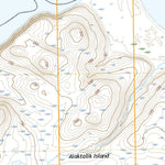 Trinity Islands C-1 NE, AK (2021, 25000-Scale) Preview 3