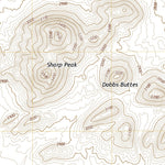 San Pedro, AZ (2021, 24000-Scale) Preview 3