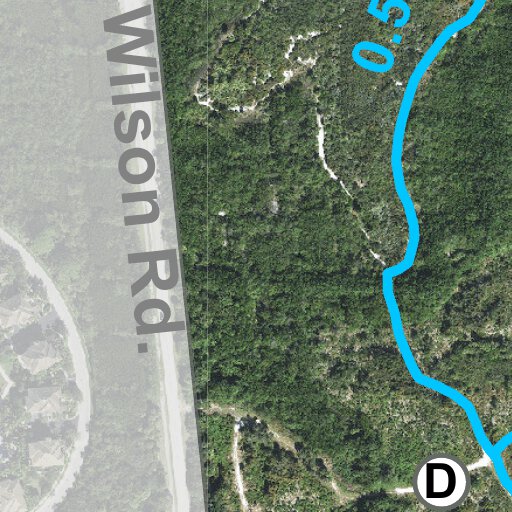 Juno Dunes Natural Area Trail - 20220622175954 JUD V1 Preview 1 