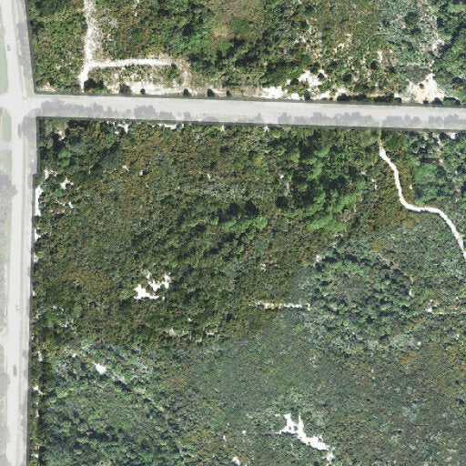 Juno Dunes Natural Area Trail - 20220622175954 JUD V1 Preview 2 3fe3f144 5db9 42be B11b 2429b094d557