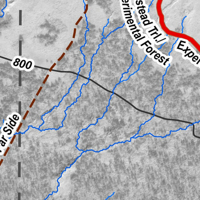 Homestead Trail, South Section, Homer, Alaska