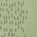 CSP - Bison and Red Dog Trails