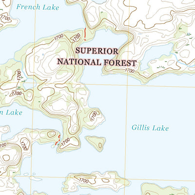 Gillis Lake, MN (2022, 24000-Scale) Preview 2