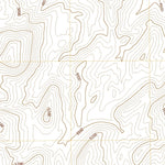 Shoshone Meadows, NV (2021, 24000-Scale) Preview 2