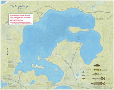 Big Muskellunge Lake, Vilas County, Wisconsin
