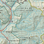 A y B Lonquimay 8_10 (1)-2