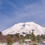 A y B Lonquimay 8_10 (1)-1