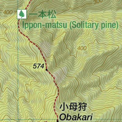 Kinbo-zan 金峯山 Hokari-yama 母狩山 Hiking Map (Tohoku, Japan) 1:25,000