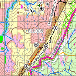 Ellis State Forest compartments 3 to 6 Harvesting Plan Map