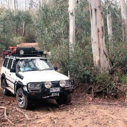 Davies Plain 11