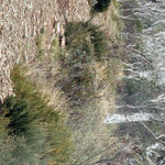 Davies Plain 15