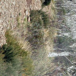 Davies Plain 15