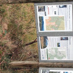 Davies Plain 7