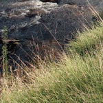 Davies Plain 3
