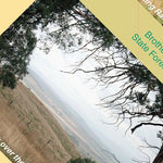 Davies Plain 5