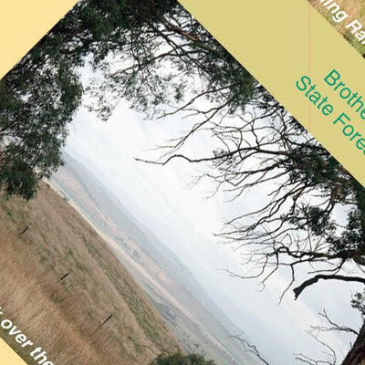 Davies Plain 5