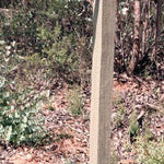 Davies Plain 17