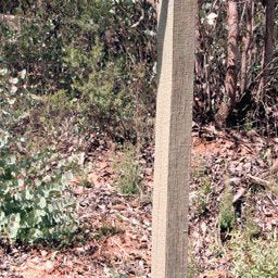 Davies Plain 17