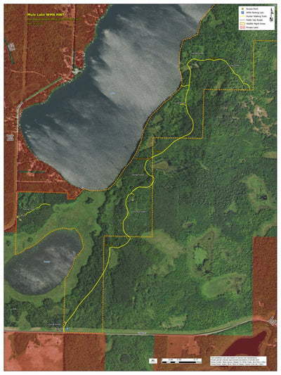 Mule Lake WMA HWT 2022