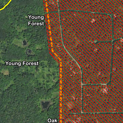 Meadow Brook WMA HWT 2022