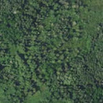 Kitten Creek WMA HWT 2022