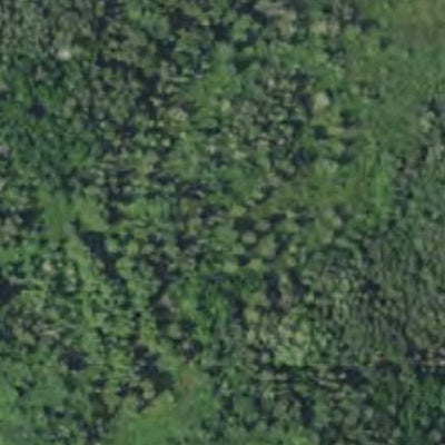 Kitten Creek WMA HWT 2022