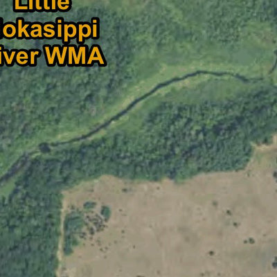 Little Nokasippi River WMA HWT 2022
