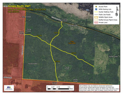 Jungle North HWT, Jungle East HWT 2022