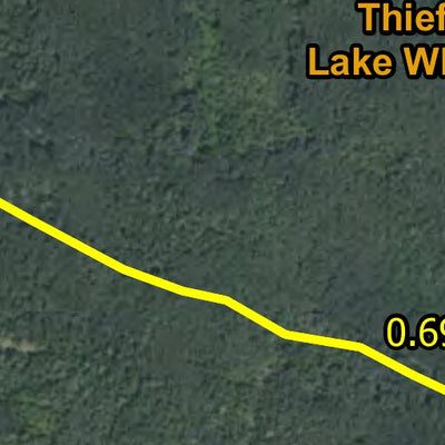 Jungle North HWT, Jungle East HWT 2022