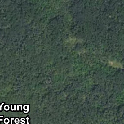Jungle North HWT, Jungle East HWT 2022