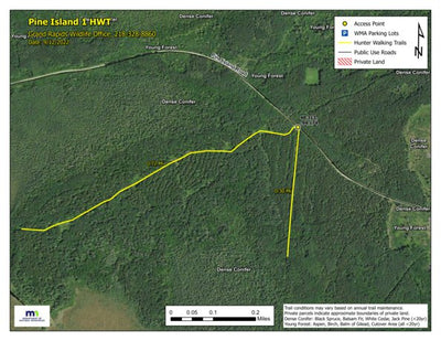 Pine Island 1 HWT 2022