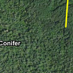 Pine Island 1 HWT 2022