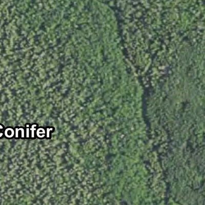 Crane Lake Voyageur HWT 2022