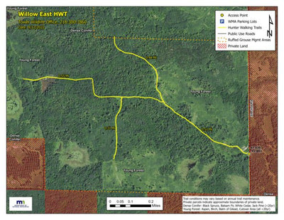 Willow East HWT 2022