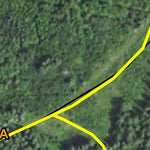 Bowstring Deer Yard HWT 2022