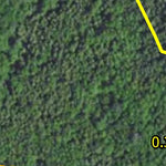 Bowstring Deer Yard HWT 2022