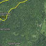 Elephant Lake HWT 2022