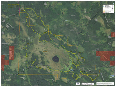 Morph Meadows HWT 2022