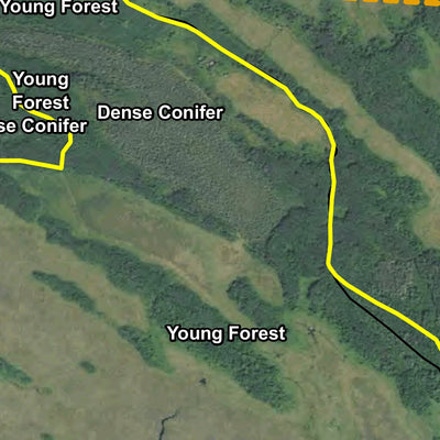 Morph Meadows HWT 2022