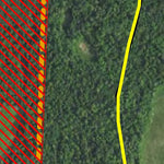 Callaway WMA HWT 2022