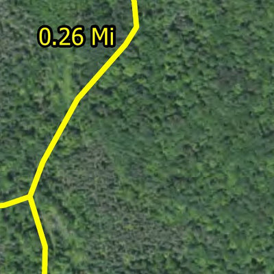 Sugarbush HWT 2022