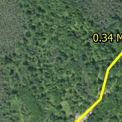 Sugarbush HWT 2022