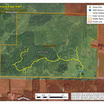 Brushland Edge HWT 2022