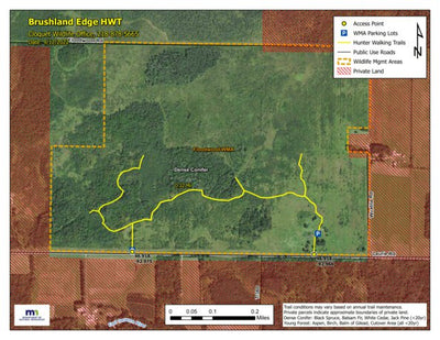 Brushland Edge HWT 2022