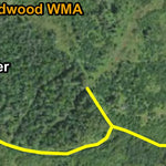 Brushland Edge HWT 2022