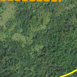Brushland Edge HWT 2022
