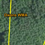 Owens HWT 2022