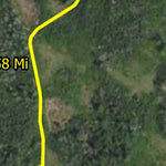 Timberdoodle HWT 2022